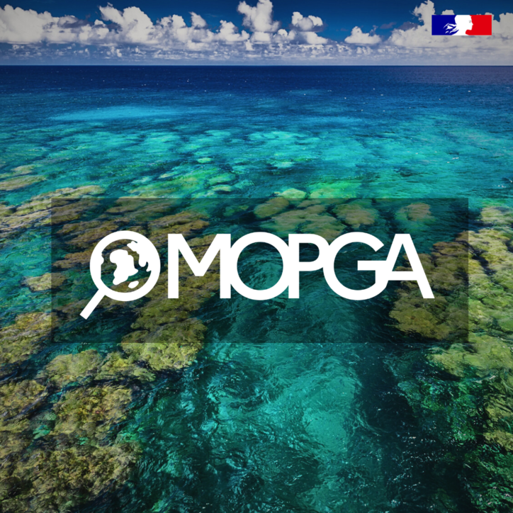MOPGA 2024-2025